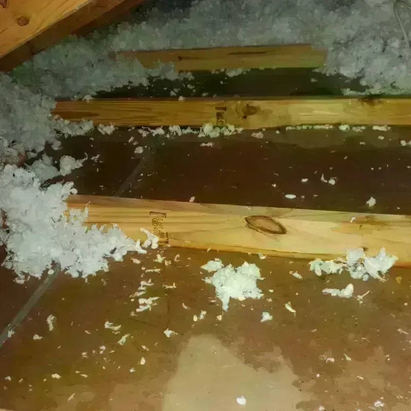 Attic Water Damage in Montrose County, CO