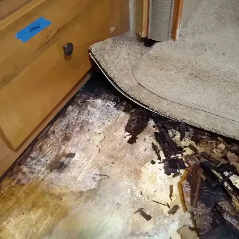 Wood Floor Water Damage in Montrose County, CO